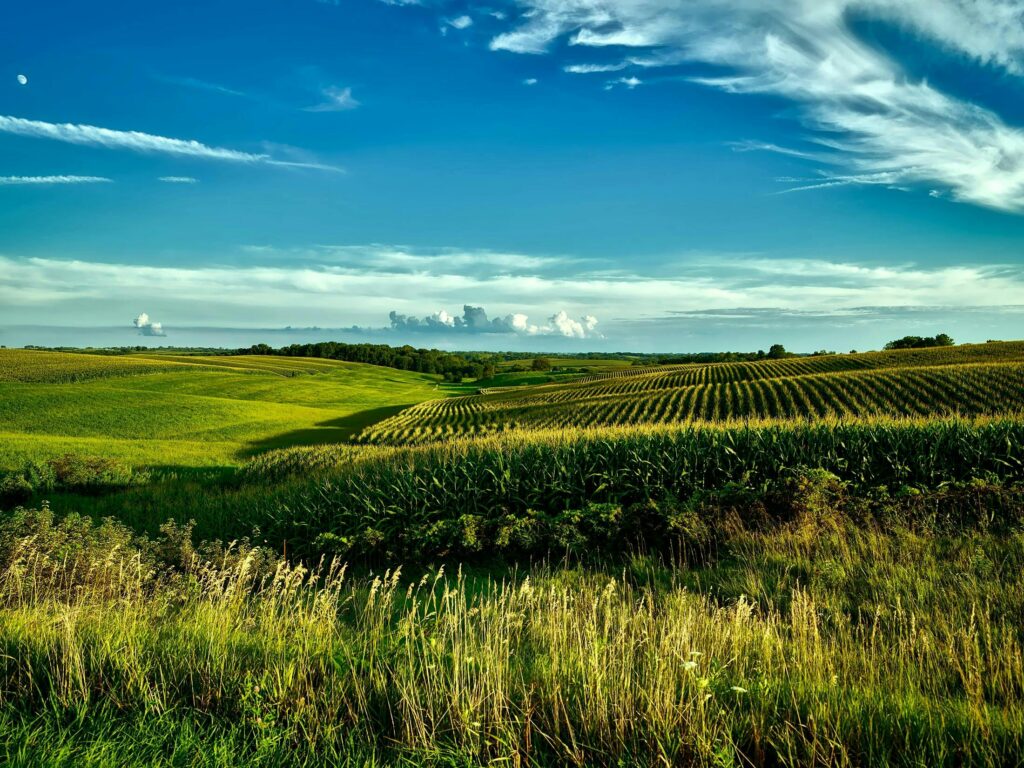 Exploring 831(b) Plans: Dustin Carlson on Risk Mitigation Strategies