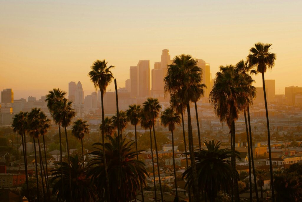 The Extended Impact of the LA Fires